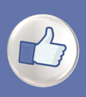 Afficher un badge de profil Facebook sur votre blog ou site Web ...