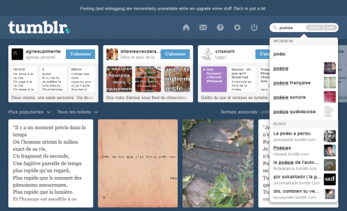 Recherche Tumblr